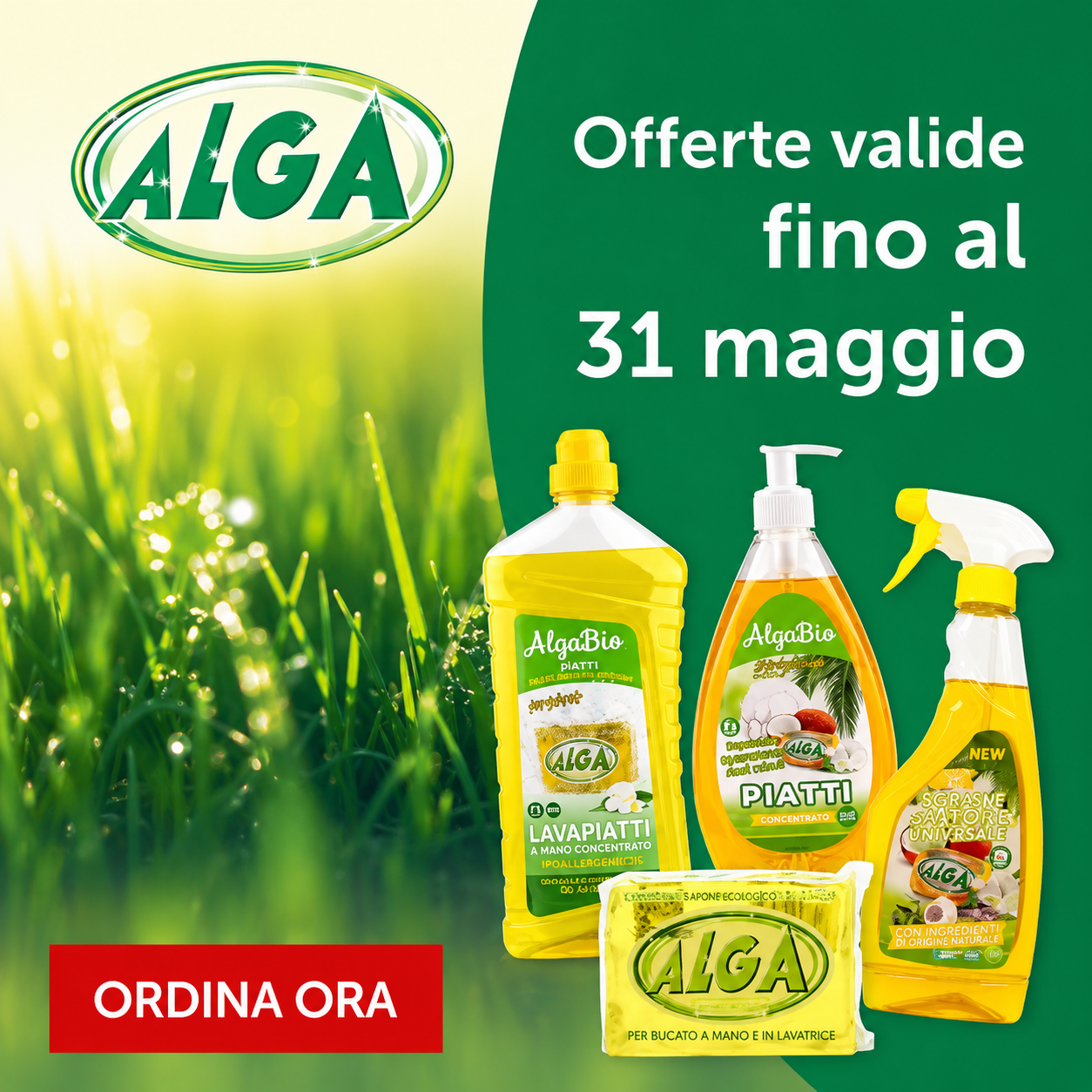 PROMO ALGA