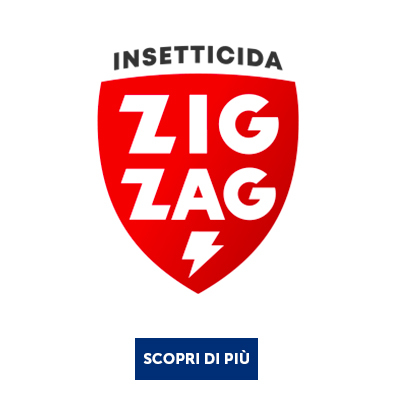 Scopri i prodotti di ZIG ZAG