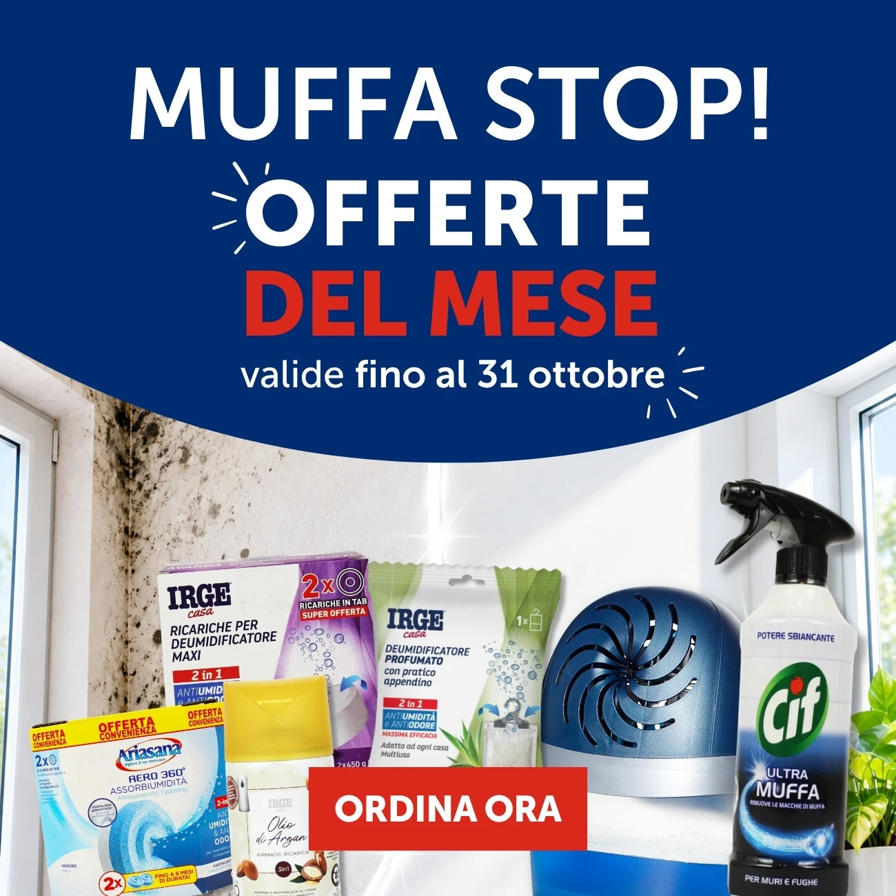 MUFFA STOP!