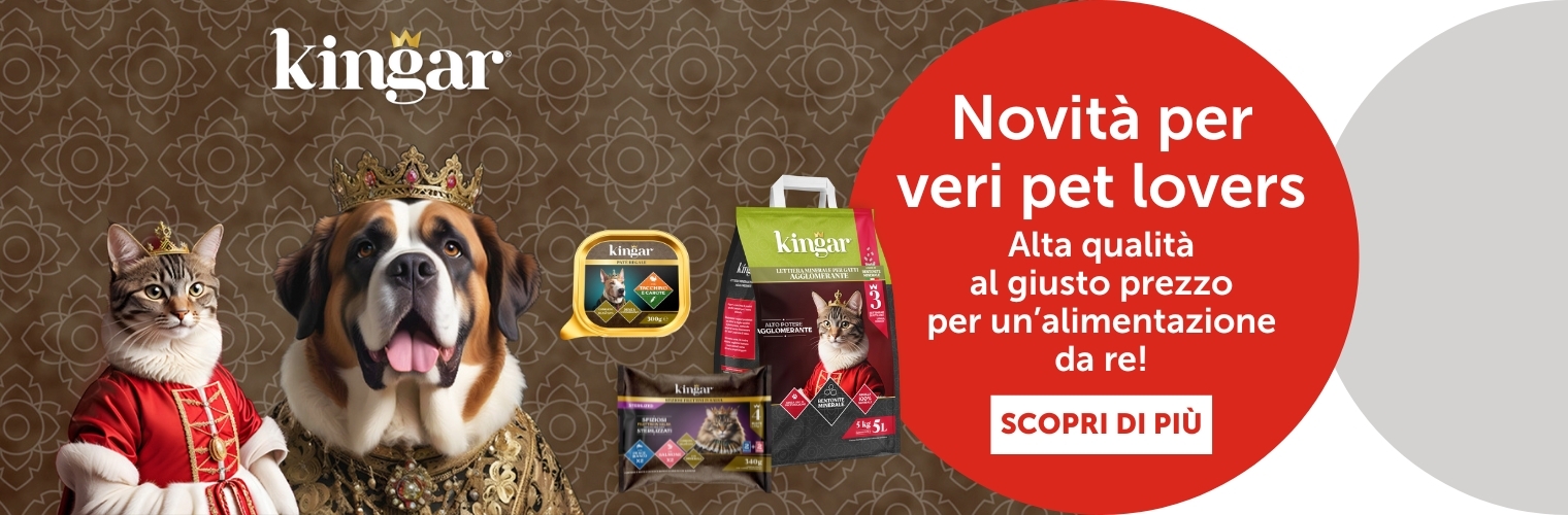 KINGAR