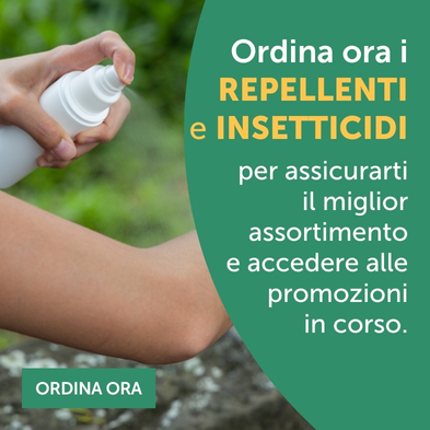 INSETTICIDI