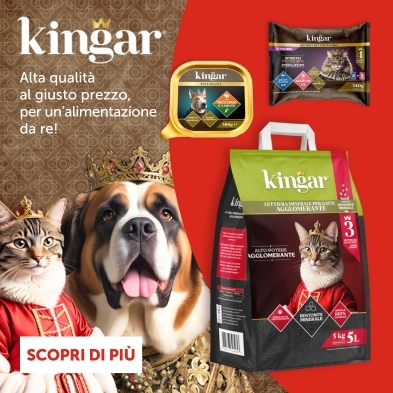 KINGAR