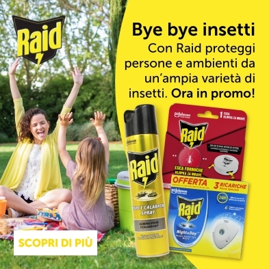 RAID
