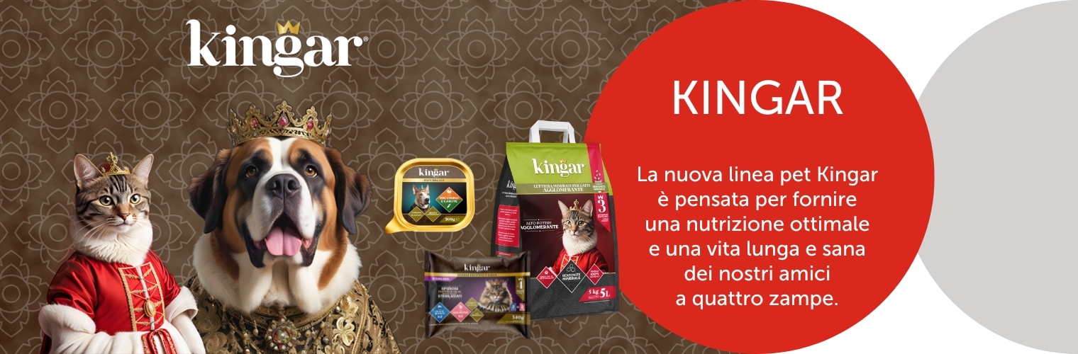 KINGAR