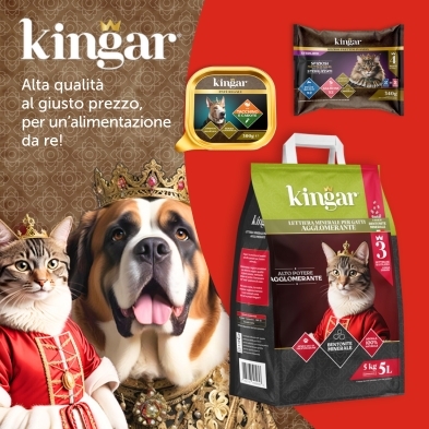 KINGAR