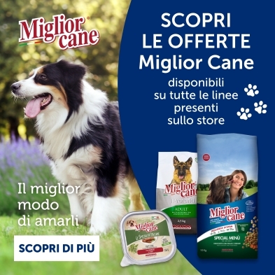 Promo Miglior cane