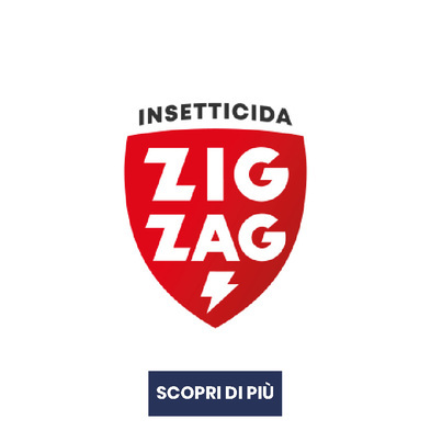 Scopri i prodotti di ZIG ZAG