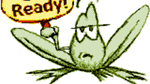 Frogger, GBC