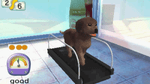 Paws & Claws Pampered Pets Resort 3D, n3DS