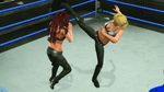 WWE Smackdown vs. Raw 2009, PSP