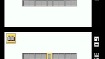 Polarium, NDS