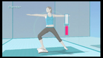 *Wii Fit, Wii