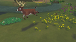 Sim Animals, NDS