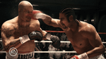 Fight Night Champion, PS3
