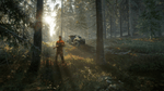 ^The Hunter: Call of the Wild, PS4