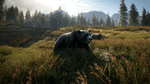 ^The Hunter: Call of the Wild, PS4