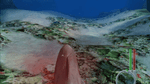 Jaws Unleashed, XBOX