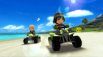 Go Vacation, Wii