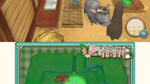 Harvest Moon 3D: A New Beginning, n3DS