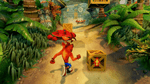 Crash Team Racing Nitro-Fueled + Crash Bandicoot N-Sane Trilogy Bundle, PS4