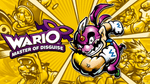 Wario Master of Disguise, NDS