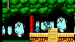 ^Mega Man 6, NES