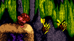 Donkey Kong Country, GBC