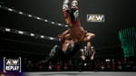 AEW: Fight Forever, PS5