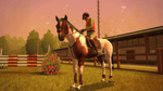 My Horse and Me, Wii