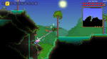*Terraria, PS4