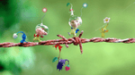 Pikmin 2, Gamecube