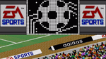 FIFA International Soccer, Sega CD