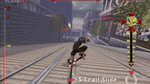 Tony Hawk Downhill Jam, Wii