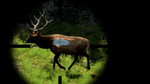 Cabela's Big Game Hunter 2010, X360