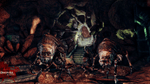 Dragon Age: Origins - Awakening, X360