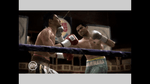 Fight Night Round 3, XBOX