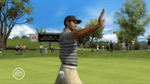 *Tiger Woods PGA Tour 08, Wii