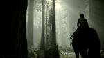 *Shadow of the Colossus, PS4
