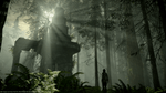 *Shadow of the Colossus, PS4