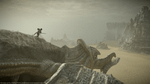*Shadow of the Colossus, PS4