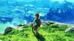 Zelda Breath of the Wild, NX