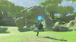 Zelda Breath of the Wild, NX