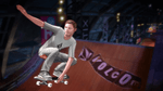 *Tony Hawk: Shred, Wii