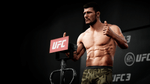 UFC 3 [Playstation Hits], PS4