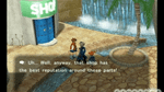 Pokemon Colosseum, Gamecube