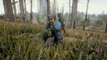 *PlayerUnknown's Battlegrounds, PS4