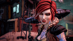 *Borderlands 3, PS4