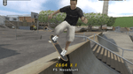 Tony Hawk's Pro Skater 4, Gamecube