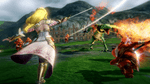 *Hyrule Warriors, WiiU