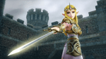 *Hyrule Warriors, WiiU